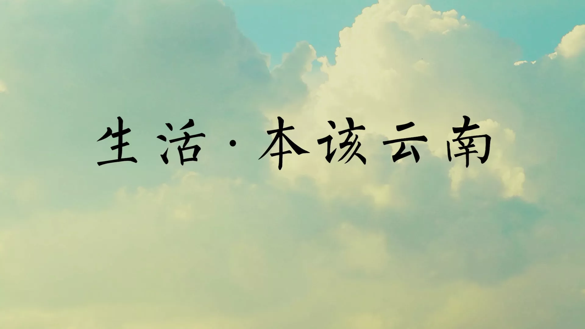 诺仕达集团文化宣传片《生活本该云南》