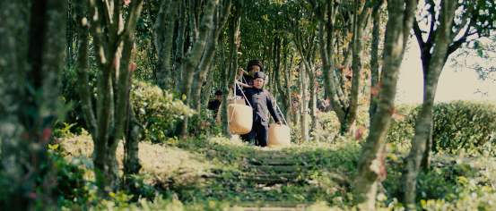 微信图片_20210129152512