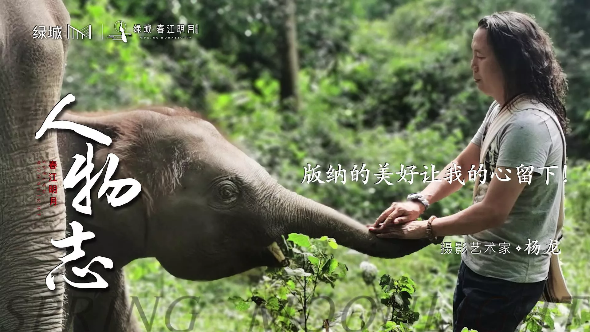 春江明月人物志贰